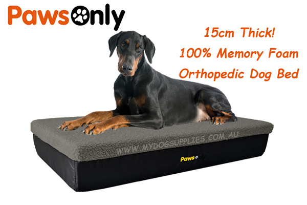 grey orthopedic dog bed